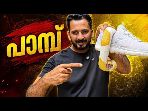 പാമ്പ്‌🫪🫪🫪 snake 🐍😳.. എഡിറ്റ് ചെയ്യാത്ത വീഡിയോ 