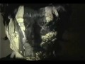 The Legendary Pink Dots - Prisoner