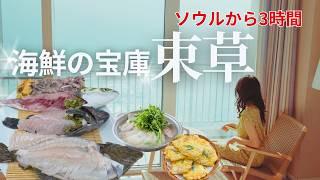 束草グルメ｜中央市場と大浦港でまだ動く活魚とイカスンデ 1泊2日【在韓20年】