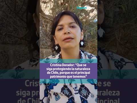 Cristina Dorador reacciona al retiro de decretos ambientales por parte del gobierno de Kast