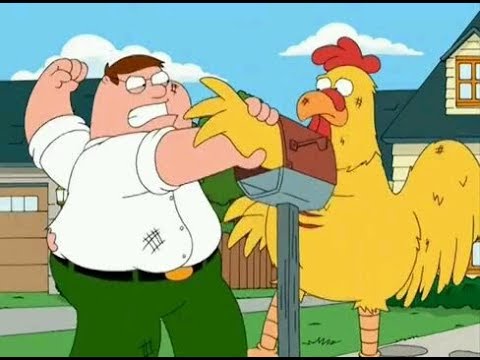 Family guy - peter vs the chicken