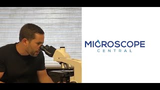 Focusing Your Microscope [4 EASY STEPS]
