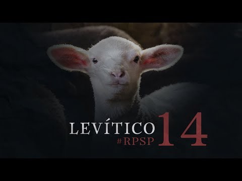 Levítico 14 Resumen Pr. Adolfo Suarez | Reavivados Por Su Palabra