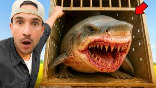 I Bought A Truckload of Abandoned Fish...