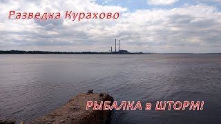 Ссылка