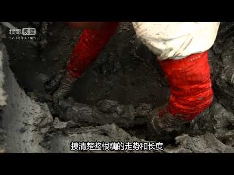 A Bite of China 01 Gift of Nature（HD）