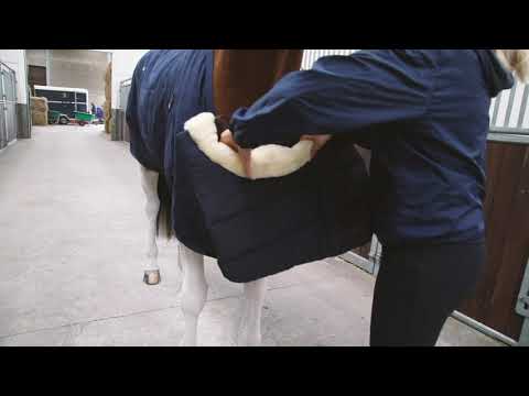 How to put the Horse BIB