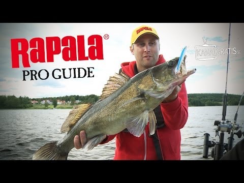 Rapala Pro Guide | Summer Trolling for Zander (English Subtitles)