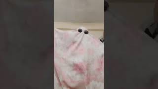 Download lagu Eenie meenie#viral #treanding #reels #youtubeshorts  #shorts#ghost @amanapamei1160 mp3