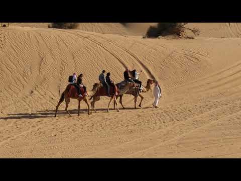 Camel Ride in Desert Safari || DREAM NIGHT TOURS