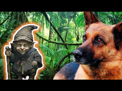 Wilson el Perrito 🐕‍🦺 Rescatista y el  DUENDE de la SELVA que NO DEJA que lo Encuentren 😥