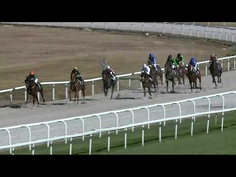 2021.09.19. 04. futam - ÜLLŐI HENDIKEP (III.o.) (szintetikus pálya)