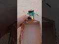 How To Create Self Driving Three Wheeler Shorts