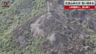 【速報】広島山林火災、勢い弱まる  人的被害なし、消火続く