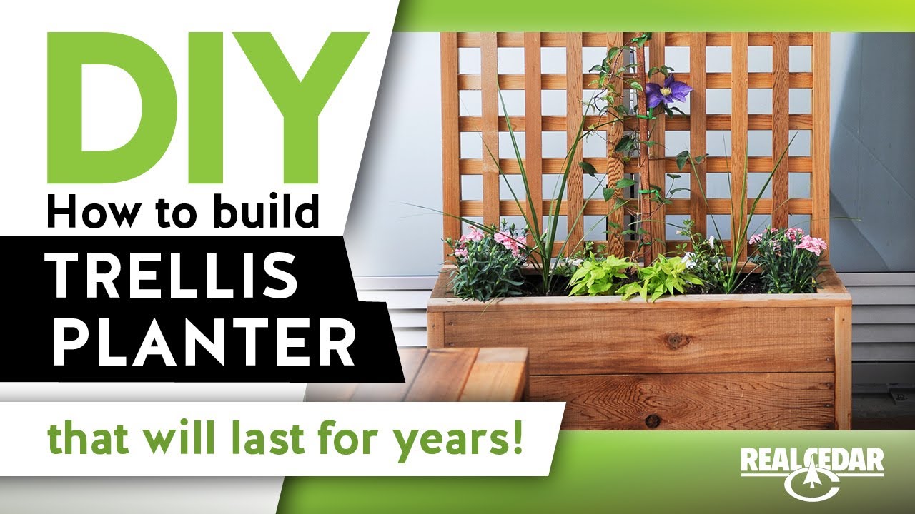 How to Build Trellis Vertical Garden - RealCedar.com