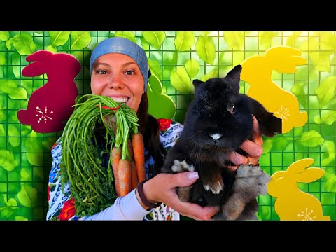 BUCLUCAS the bunny and MARIOARA the gymnast (Marioara's story 32)