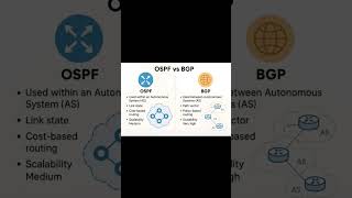 OSPF vs BGP | Key Differences Explained for Network Engineers