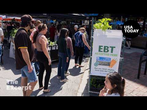 Why 5 million Americans lost SNAP benefits | The Excerpt