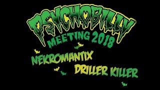 ⭐ PSYCHOBILLY MEETING 2018 ⭐ Nekromantix - Driller Killer ⭐ Pineda de Mar