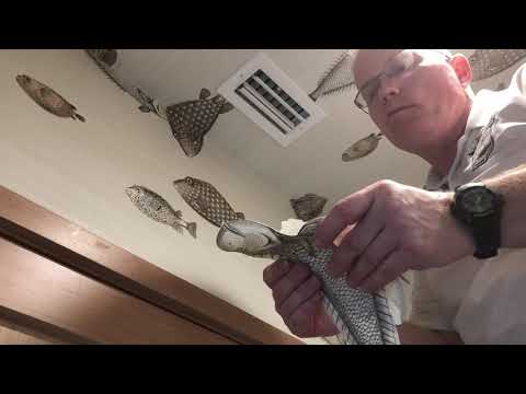 How To Do “Fake Outs” With Wallapper Patterns - Spencer Colgan