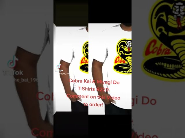 Vídeo relacionado con the Fan Tee Camiseta de Hombre Karate Serie Cobra Miyagi Do 018 M