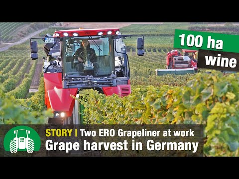 Kitzer Estate Winery (ERO harvesters and Fendt tractors | Grape Harvest | Wine Growing | Part 2 )