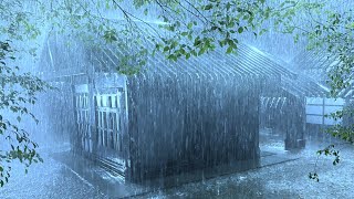 Relax & Sleep Soundly with Torrential Rain & Terrifying Thunder on Fragile Tin Roof in Farm Garden