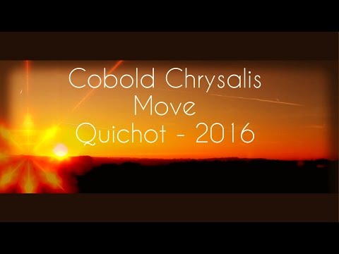 Cobold Chrysalis - Move (Official video)