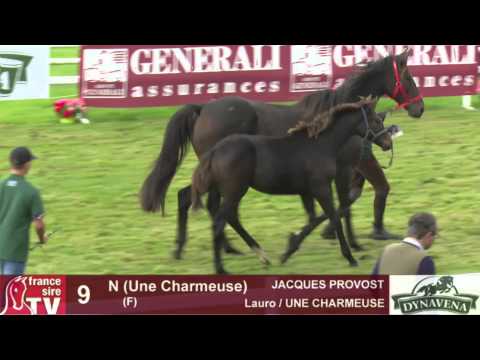 Show AQPS 2015 : lot 9 - N - F15 - Lauro & UNE CHARMEUSE