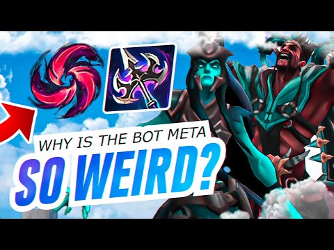 Why Is The Bot Meta So WEIRD?