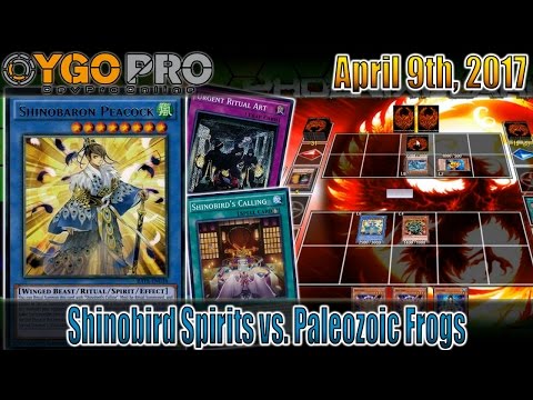 Shinobird Spirits vs. Paleozoic Frogs (YGOpro Duel) Yugioh! April 2017