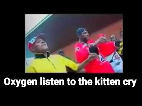 Etat-Major by Extra Musica English Translation Lyrics