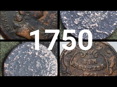 Wykopki wyprawa #174 Leśny spacer