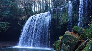 【鍋ヶ滝】生茶のCMで有名になった鍋ヶ滝に行ってきました！