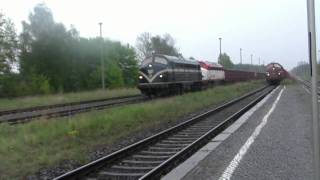 preview picture of video 'NOHAB MY1155, 1147 und 1149 in Flechtingen Bahnhof'