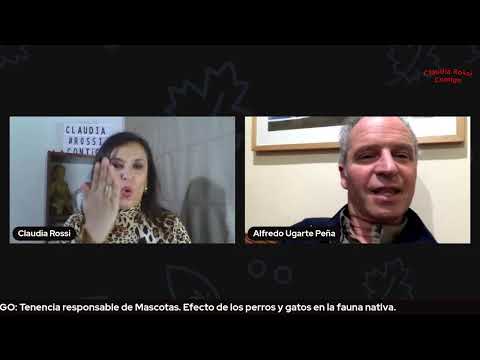 Tenencia responsable de Mascotas.  Efecto de los perros y gatos en la fauna nativa.