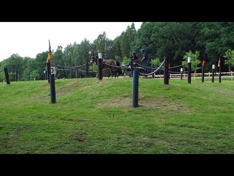 Fahrturnier Alfhausen 22.5.2022