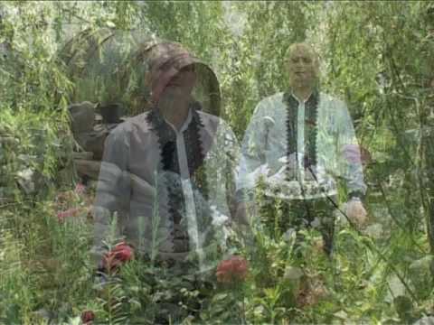 RELU PUSCA-De la Blaj la Valea Lunga - 0769 276 712