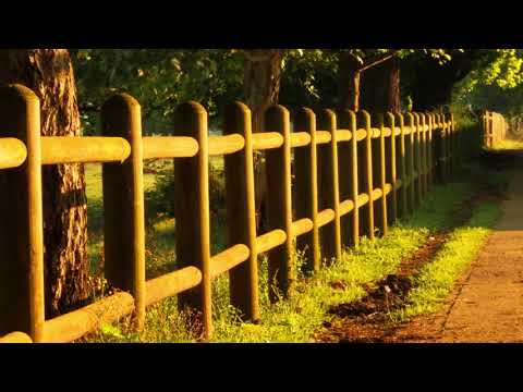 Morning Light FROST 192khz