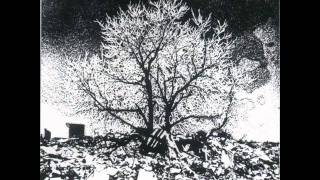 The Bevis Frond - The Miskatonic Variations II