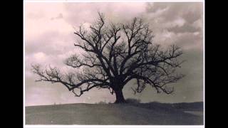 FALLEN FROM GRACE..COVER