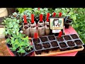 🍁 LIVE: When to Start Your Fall Garden (and What is It?) 🍁 LIVE: When to Start Your Fall Garden (and What is It?)