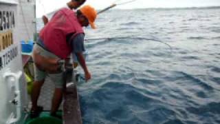 太伊丸のイメージ