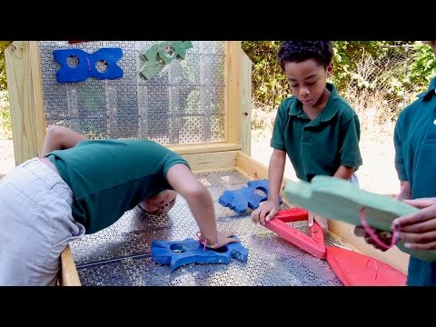 Elementary Engineering: From Simple Machines to Life Skills