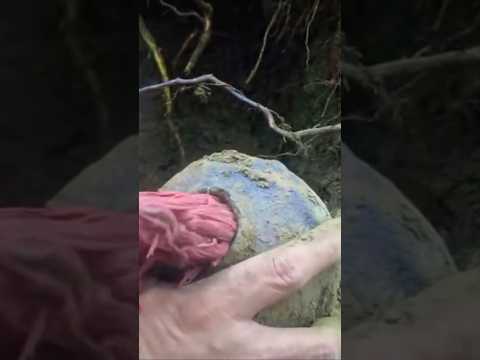 Treasure Found  jewelry inside