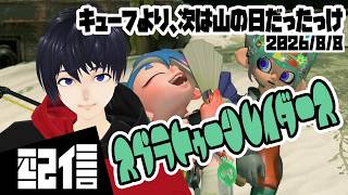 #3 【初見】キューフより、海域の果て スプラトゥーン レイダース実況配信 【Vtuber】