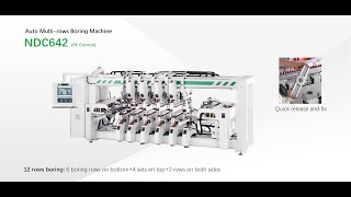 Nanxing PC Auto Multi rows Boring Machine NDC642