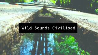 Sally Seltmann - We Are The Music