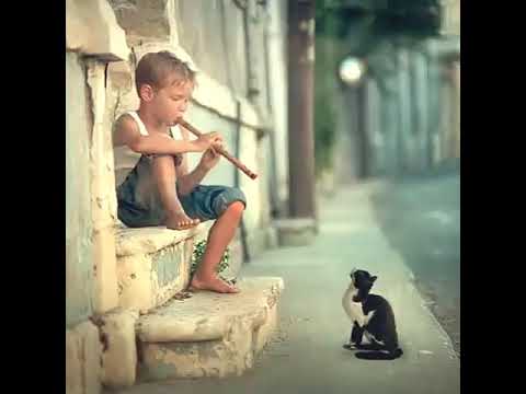 When corona attacks on the town no one to see.....