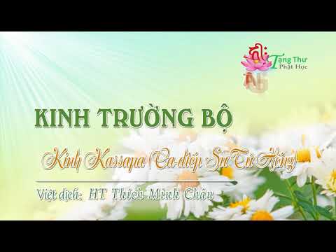 08. Kinh Ca-diếp Sư tử hống (Kassapa-Sīhanāda sutta)